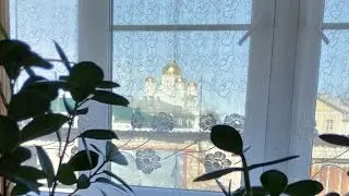 ПЕРЕСАДИЛА ЦВЕТОЧЕК👍