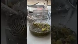 Чайная церемония