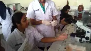 Clinical Pathology Lab - Blood typing