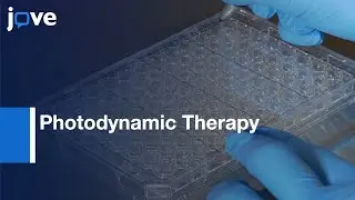 Blended Conducting Polymer/Fullerene Nanoparticle Photosensitizers l Protocol Preview