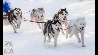 Бэкстейдж с детских катаний в ООЦ 