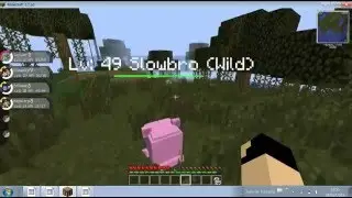 Minecraft Pokemon: Capturando um Larvitar !