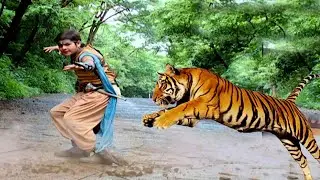 Best of Baalveer (बालवीर ) | Full Episode 555 | Dev joshi, Shweta Tiwari