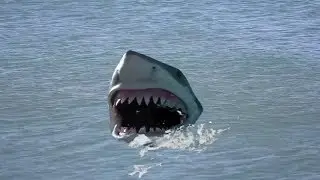 SHARK GREEN SCREEN  H D animated