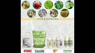 Fungisidlər-Fungicides -Фунгициды