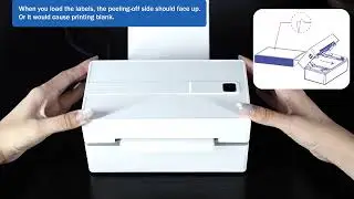 Thermal Label Printer Portable No Ink Required 203DPI 4x6 for Small Business Bluetooth USB High