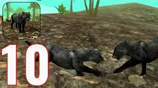 Wild Panther Sim 3D - Gameplay Walkthrough Part 10 - Panther Vs Panther (iOS, Android)