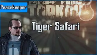 Tiger Safari - Peacekeeper Task - Escape from Tarkov Questing Guide EFT
