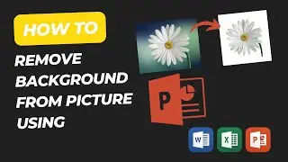 How to Remove Background From Picture in PowerPoint