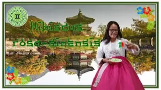 THE HWANGS IN SOUTH KOREA 2 | THE TWINS (GEMINI) | A BIRTHDAY PRESENTATION |GUMAMELA-INSPIRED GEMINI