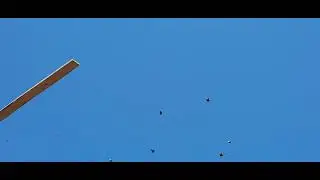 13 мая 2022 г.