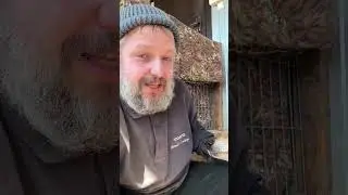 Дружок 🐕‍🦺