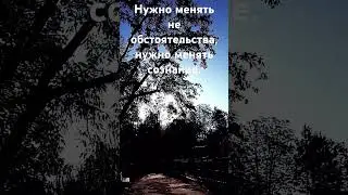 #словасосмыслом #мудрость #цитаты