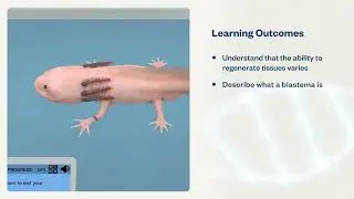 Regeneration Biology | Virtual Lab