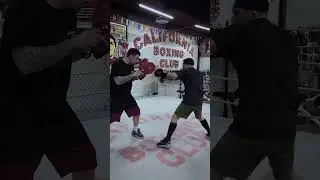 Лютый движ прямиком из солнечной Калифорнии. #boxing #highlights #boxingtraining #sports #hl #boxer