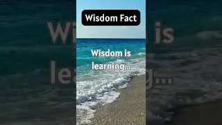 Wisdom is overlooking some things...