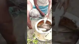 NET FISHING,HAND FISHING#shortsnet fishing,best fishing,cast net fishing,freshwater fishing,fishing