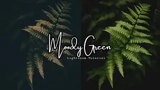 MOODY GREEN PRESET | LIGHTROOM FREE DNG FILE