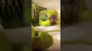 💗