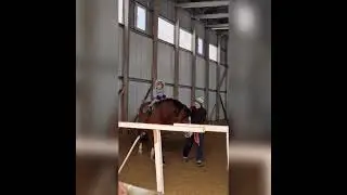 ребенок скачет на лошади 🐎 👶