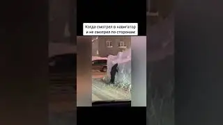 #meme