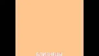 Близнецы