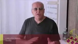 Que vinho comprar para o seu casamento? | Episódio 86