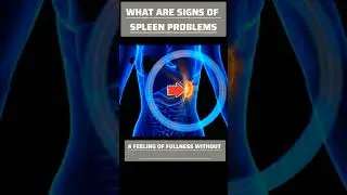 What are Sign and Symptoms of SPLEEN Problems?