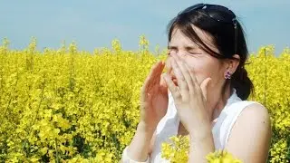 Springtime Allergies Are Here! Learn How To Combat Them Today!