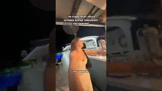 а какая песня вам поднимает настроение?💕