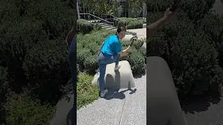 POV: You meet a Minecraft girl