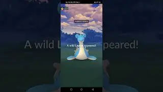 pokemonpet