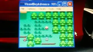 il 3 lat's play pokèmon marron merda master ball e cattura di pokèmon