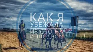 Как я сбежала с СТО на ипподром)))