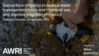 Subsurface irrigation to reduce weed management costs & chemical use & improve irrigation efficiency