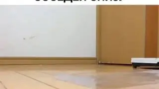 Соседи