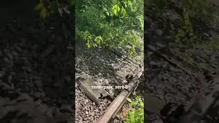 Железная дорога в никуда! 