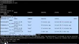 7   Docker Operations | System Prune