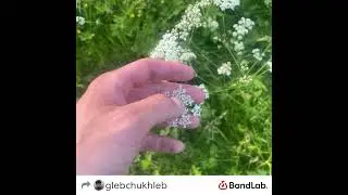 GLEB CHUKHLEB - BARBIE (prod. by TPXIO) #experemental #ambient @Bluee3nd01