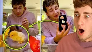 Crack A Chick Out A Phone!! | After Effects Tutorial