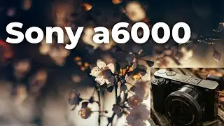 SONY a6000  video sample - Best Mirrorless Camera