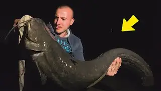 Otkrio sam SKRIVENO mjesto za pecanje i upecao ovo..