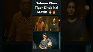 Salman Khan Attitude Status Tiger Zinda hai Movie #shorts #short #status