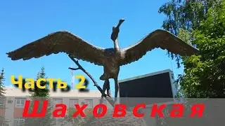 В Шаховской летом 2021 г.
