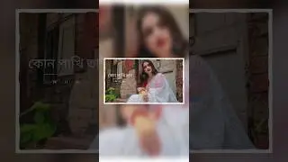 কোন পাখি তার দুঃসাহসের ডানা মেলে | Bengali song status #love #song #status  #paradiseofquotes