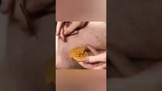 история повторяется