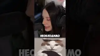 Twitch: Fasoollka 