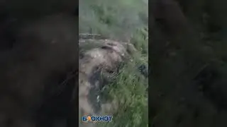Под Астраханью появилось странное место, люди боятся за себя и своих детей