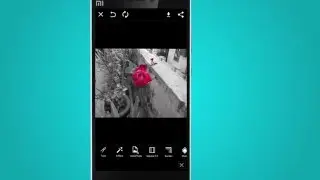 PicsArt - Color Splash