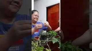 Ganap natin ngayong hapunan😅🥰